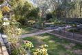 Property photo of 71 Wood Street Jindera NSW 2642