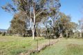 Property photo of 39 Davis Court Hazeldean QLD 4515