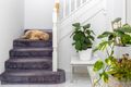 Property photo of 15 Jacana Circle Gwelup WA 6018