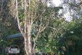 Property photo of 26 Dalby Street Maroochydore QLD 4558
