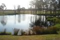 Property photo of 17 Moonlight Circuit Gloucester NSW 2422