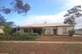 Property photo of 129 Ward Street Whyalla SA 5600