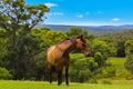 Property photo of 1 Beans Place Ourimbah NSW 2258