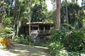 Property photo of 27 Kuranda Crescent Kuranda QLD 4881