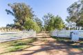Property photo of 177 Camp Road Cowra NSW 2794