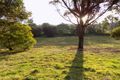 Property photo of 39 Lower Road New Norfolk TAS 7140