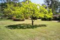 Property photo of 5 Boyd Boulevard Medowie NSW 2318