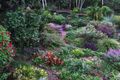 Property photo of 495 Humpty Back Road Pearces Creek NSW 2477