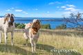Property photo of 161 Coxs Road Middleton TAS 7163