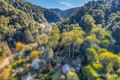 Property photo of 11 Camp Hill Road Walhalla VIC 3825