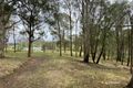 Property photo of 3 Gillespie Street Cobargo NSW 2550