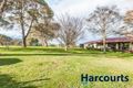 Property photo of 20 Burtonwood Court Neerim South VIC 3831