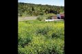 Property photo of 41 Greenfield Road Seaview Downs SA 5049