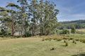 Property photo of 37 Fortescue Road Port Arthur TAS 7182