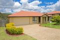 Property photo of 128 Sharpless Road Springfield QLD 4300