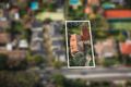 Property photo of 944 Burke Road Deepdene VIC 3103