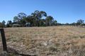 Property photo of 21 Cramsie Crescent Glen Innes NSW 2370