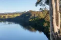 Property photo of 7 Machin Parade Wingham NSW 2429