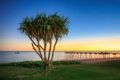 Property photo of 29 Humpback Circuit Booral QLD 4655