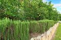 Property photo of 35 Grange Place Moggill QLD 4070