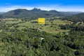 Property photo of 266 Tyalgum Road Eungella NSW 2484