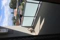 Property photo of 3/268 Main Road Toukley NSW 2263