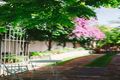 Property photo of 1 Beazley Way White Gum Valley WA 6162