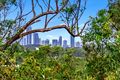 Property photo of 21 Zane Street Molendinar QLD 4214