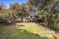 Property photo of 19 McDonald Road Rye VIC 3941