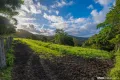 Property photo of 329 Stewart Road Coondoo QLD 4570