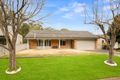 Property photo of 13 William Place North Rocks NSW 2151
