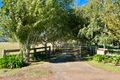 Property photo of 130 Ruby Flats Road Ringarooma TAS 7263