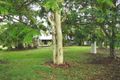 Property photo of 20 McKinnon Road Black River QLD 4818