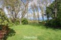 Property photo of 18 Jacksons Hill Road Menzies Creek VIC 3159