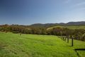 Property photo of 1402 Upper Myall Road Warranulla NSW 2423