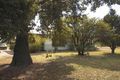 Property photo of 2 Murray Street Moulamein NSW 2733