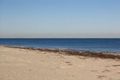 Property photo of 26 Founders Lane Hillarys WA 6025