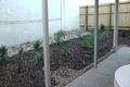 Property photo of 15/23-25 Blackwell Street Hillcrest QLD 4118