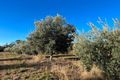 Property photo of 97 Golden Glow Road Tara QLD 4421