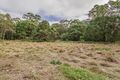 Property photo of 160 Fern Hill Drive Willow Vale QLD 4209