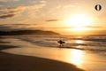 Property photo of 408/5 Mooramba Road Dee Why NSW 2099