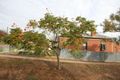 Property photo of 10 Miller Street Prospect SA 5082
