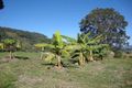 Property photo of 3 Vinery Place King Scrub QLD 4521