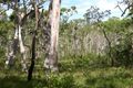 Property photo of 413 Brookhaven Boulevard Bahrs Scrub QLD 4207