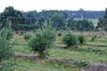 Property photo of 49 Leesons Road Westerway TAS 7140