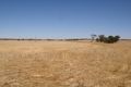 Property photo of 7255 Mallee Highway Parrakie SA 5301