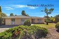 Property photo of 20 Reisling Road Wynn Vale SA 5127