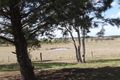 Property photo of 295 Benns Road Shannon Brook NSW 2470