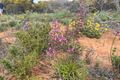Property photo of 51 Mount Horner Road West Bookara WA 6525