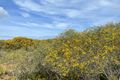 Property photo of 51 Mount Horner Road West Bookara WA 6525